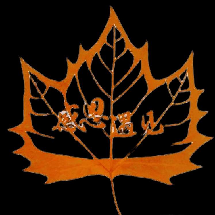 Custom Leaf Carving with Photo - Handmade DIY Real Leaf Art - Unique Birthday Gift for Her/Him